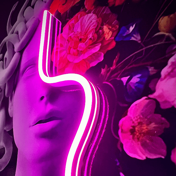 Lighted Painting | Medusa Flowers Snake LED Art | LEDMansion