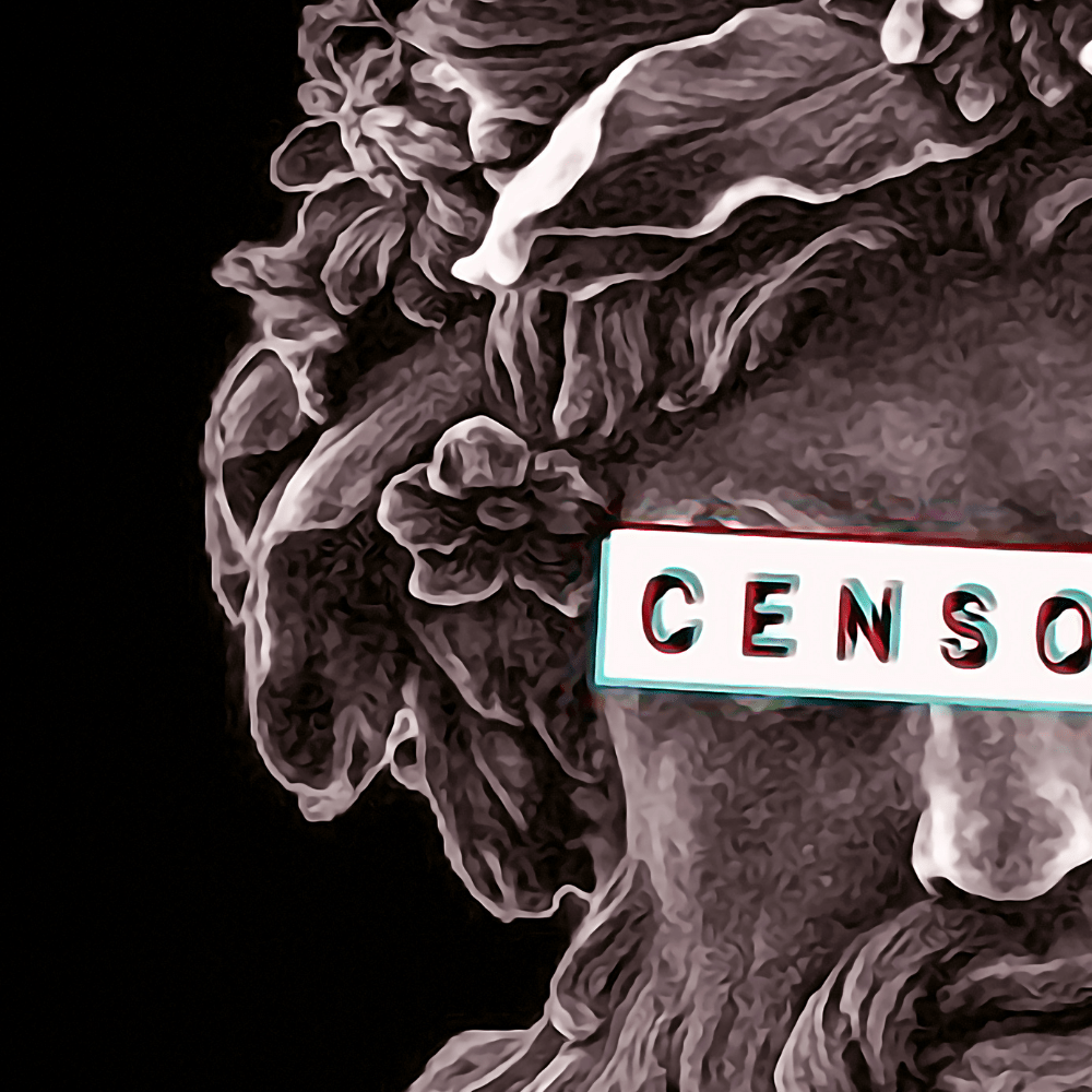 Zeus Censored | Poster Edition - LEDMansion | Led Wall Art